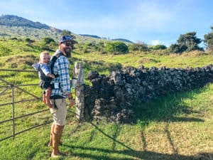 Maui With Kids: The Ultimate Guide (2024) - Mommy Needs A Mai Tai