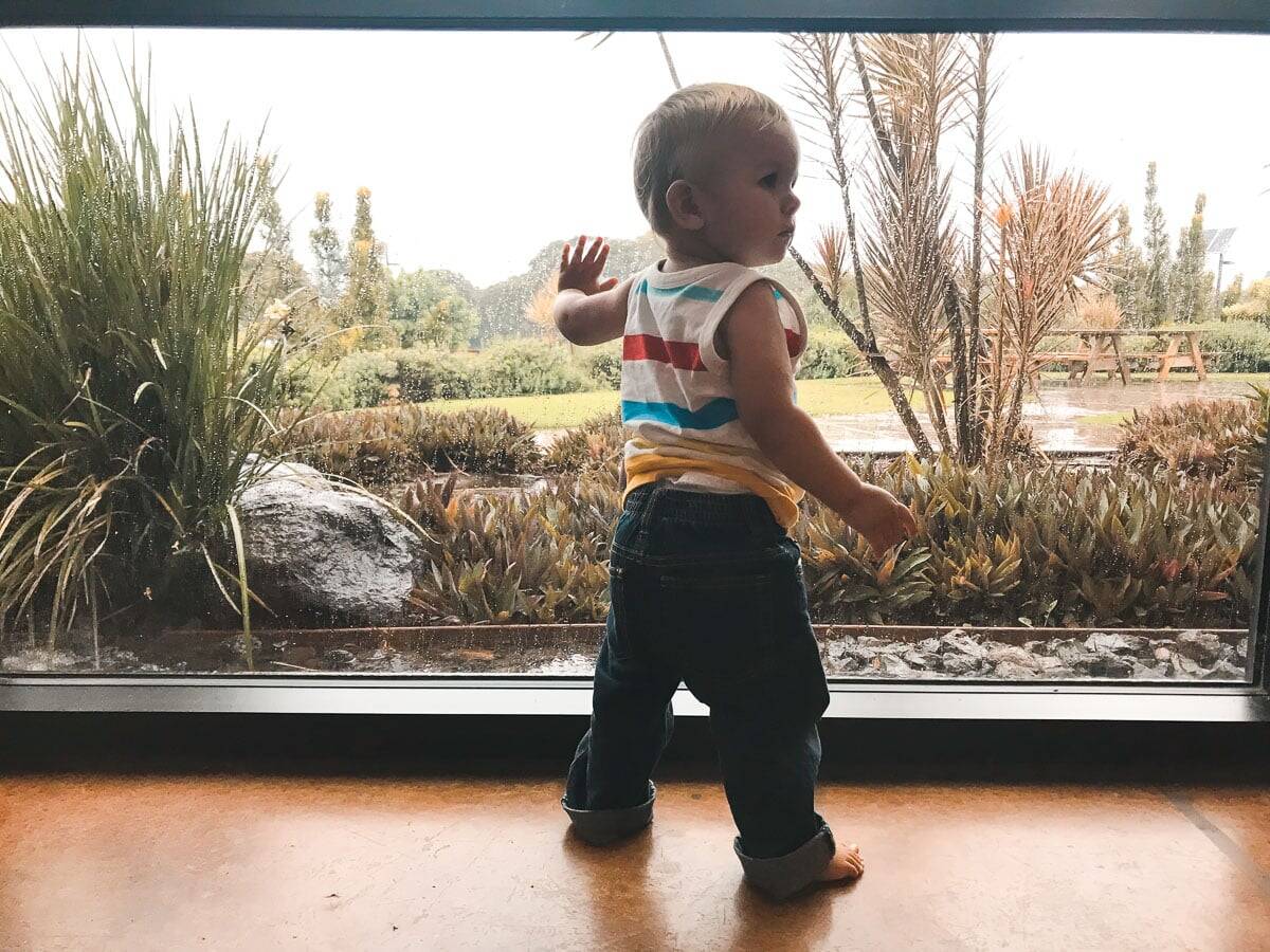 A toddler pointing outside to a rainy Maui day at Maui Brewing company in Kiehi. 