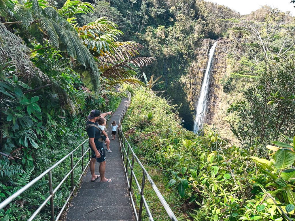 A dad hiking with kids at Akaka Falls on the Big Island of Hawaii.