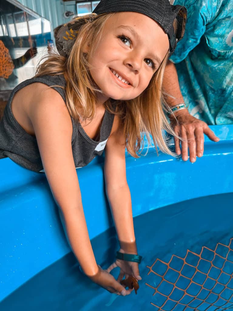 A boy holding a seahorse in Kona, Hawaii