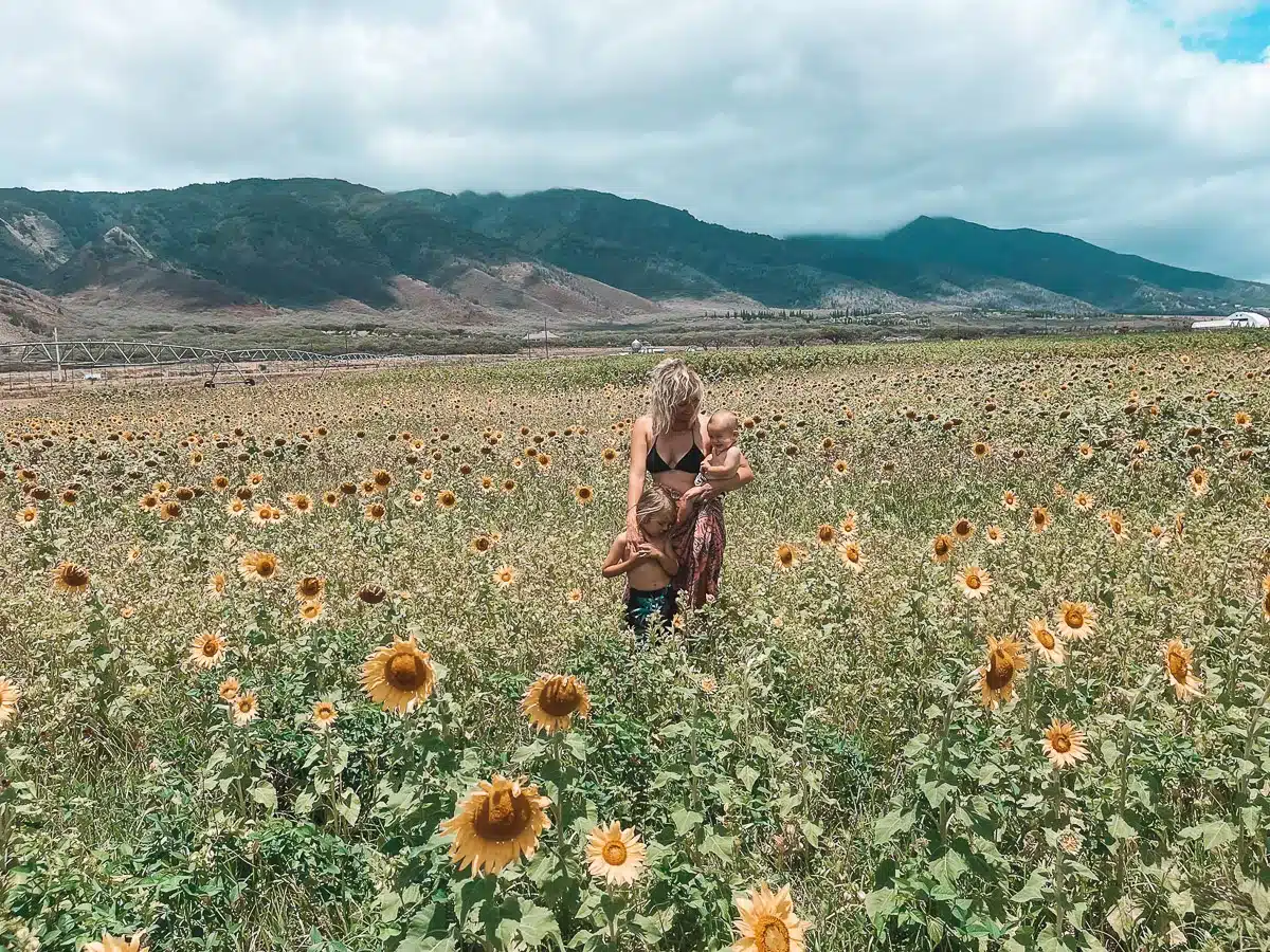 A mom and two kids standing in the middle of a sunflower field in Maui, Hawaii.