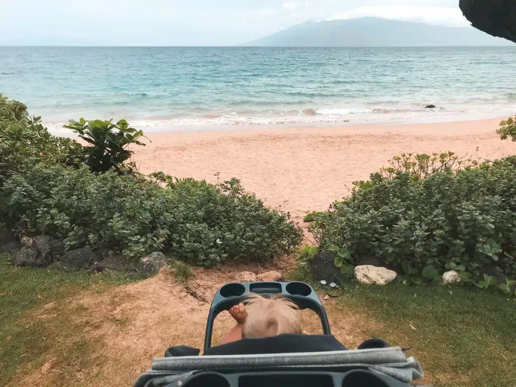 A baby in a stroller looking out at the ocean in Maui, Hawaii. 