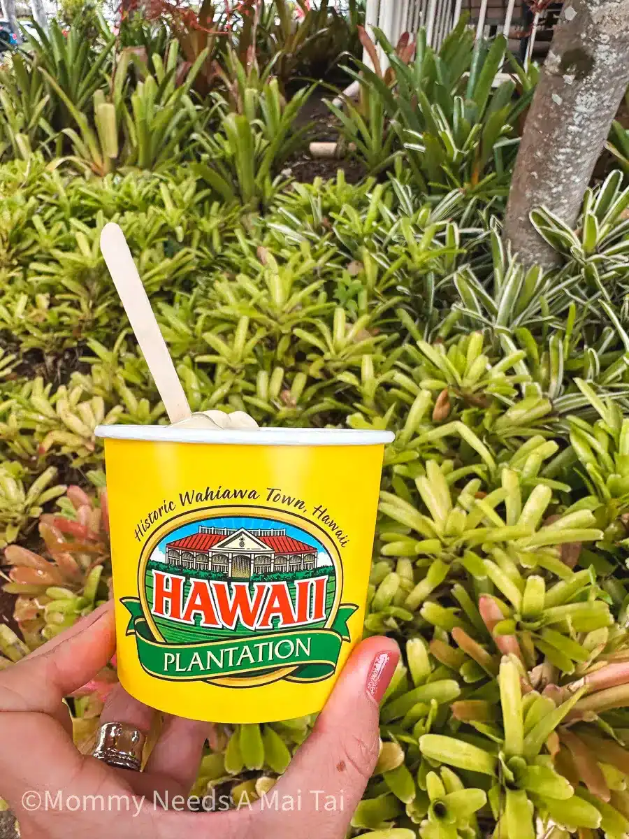 A close-up of a hand holding a Dole Plantation cup above green tropical plants in the garden at Dole Plantation on Oahu.
