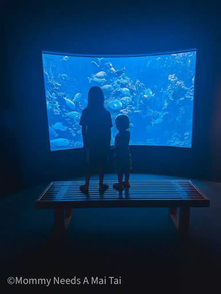 Two kids holding hands while looking at fish at the Maui Ocean Center in Maui, Hawaii. 