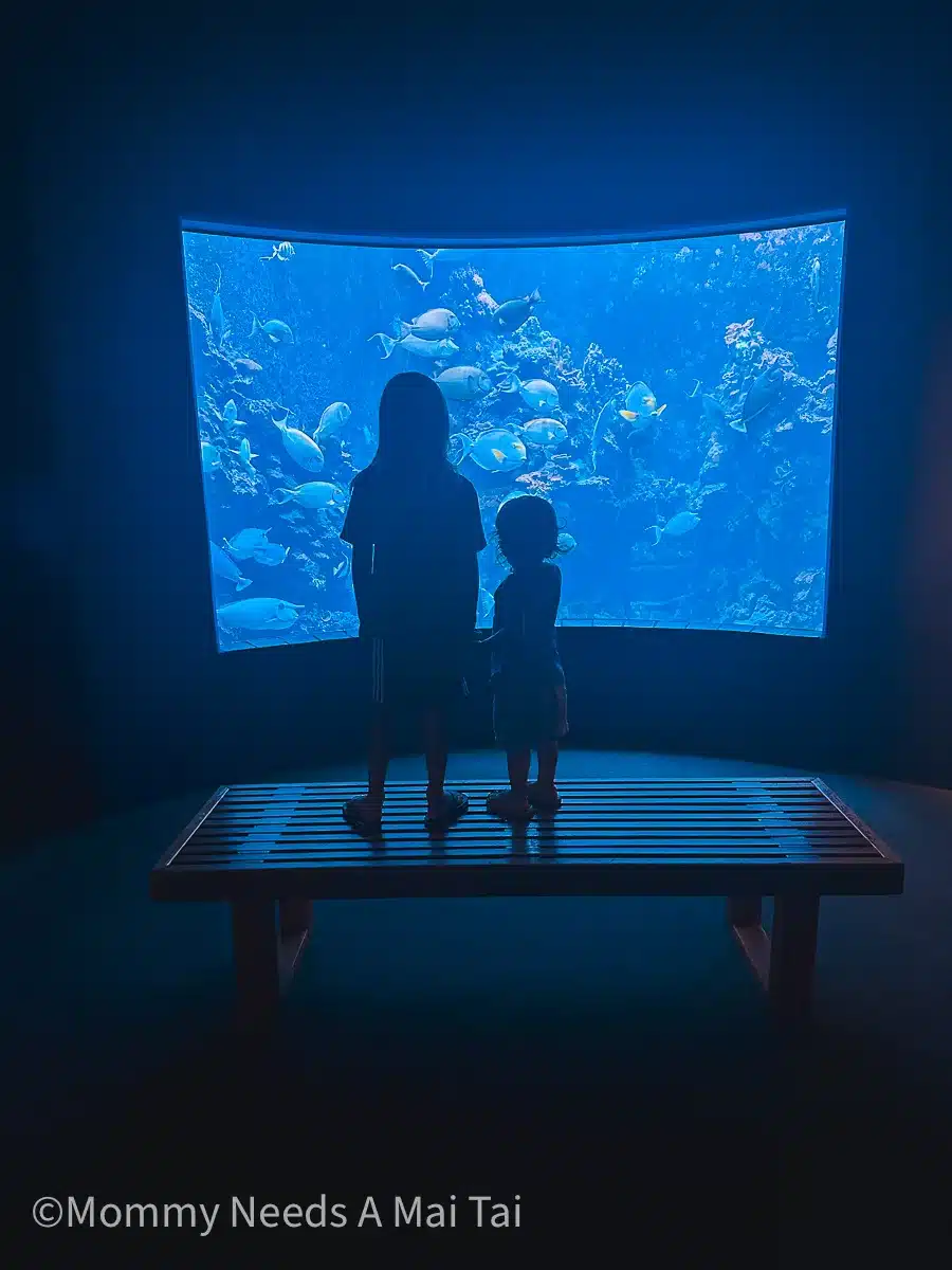 Two children standing in front of a large aquarium window at the Maui Ocean Center, watching tropical fish swim by.