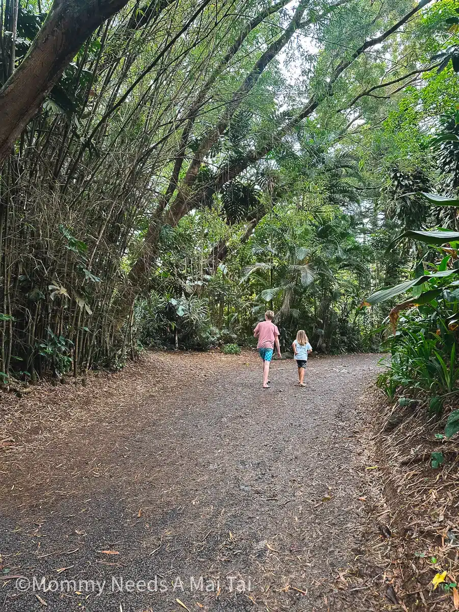 Two children walking on a shaded forest path surrounded by lush Hawaiian greenery.