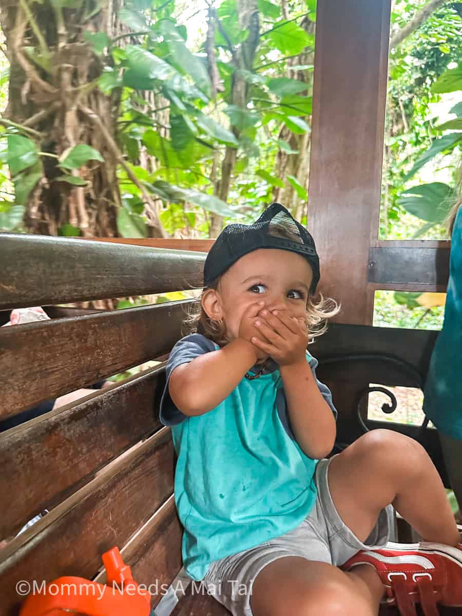 A toddler riding a train on Kauai, covering his mouth in excitiment 