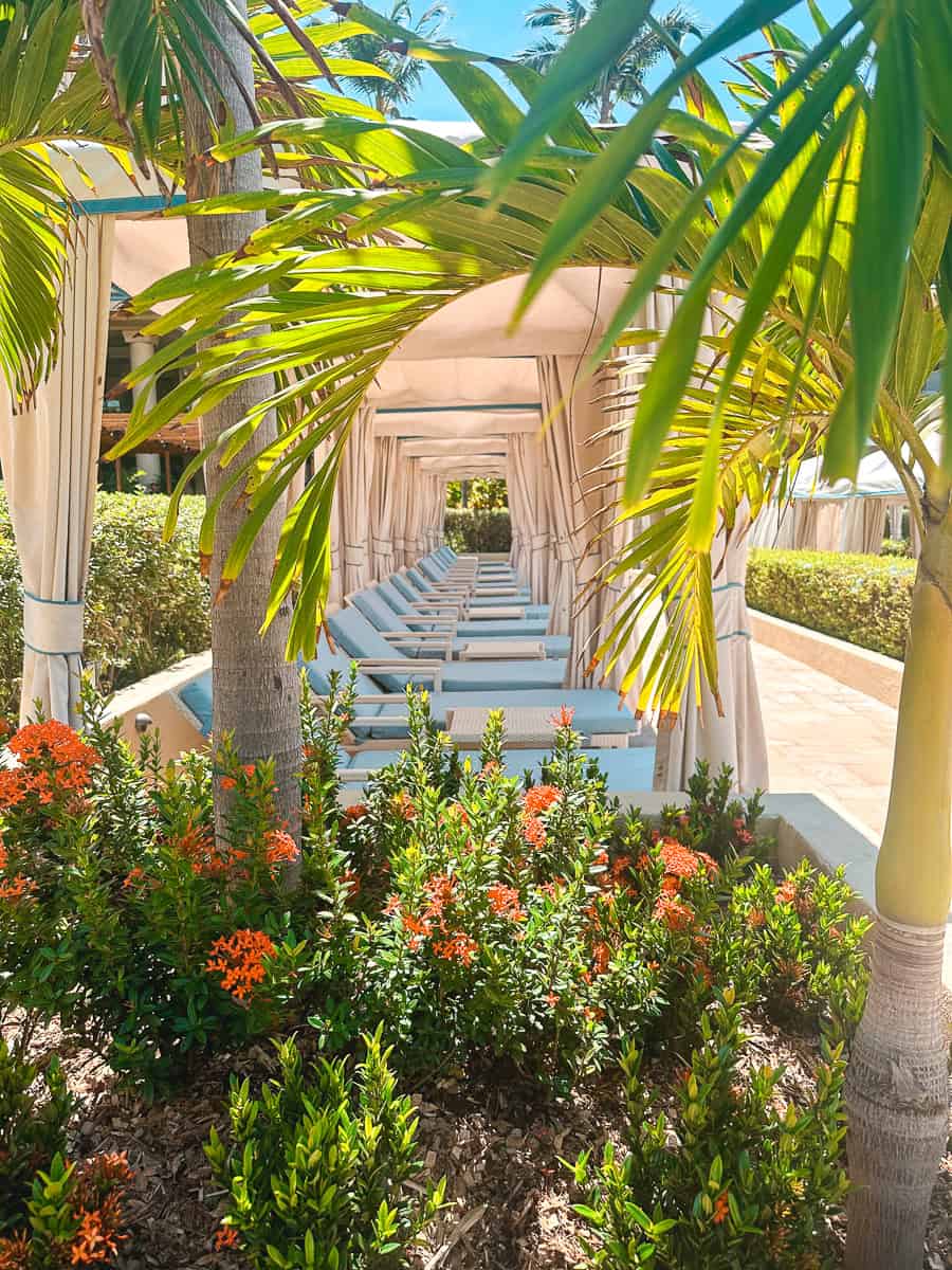 Tropical resort walkway with palm trees and lush gardens in Hawaii