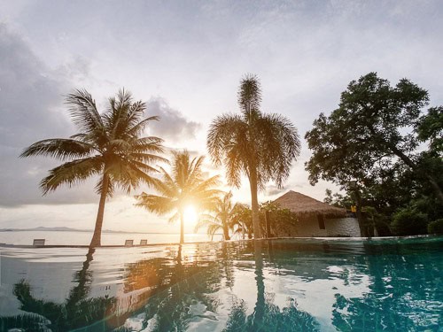Luxury resort pool at sunset with palm trees overlooking the ocean in Hawaii